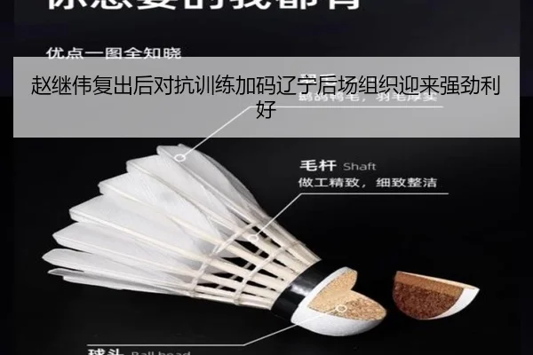 赵继伟复出后对抗训练加码辽宁后场组织迎来强劲利好 - YIHAOYULE